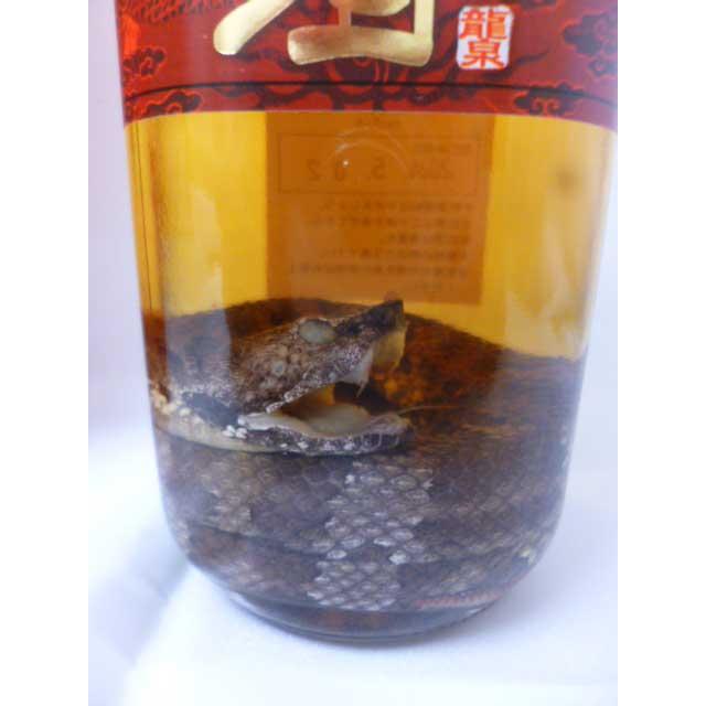 龍泉酒造】 泡盛漬 ハブ入り ハブ酒 40度 420ml : 沖縄石垣島のお