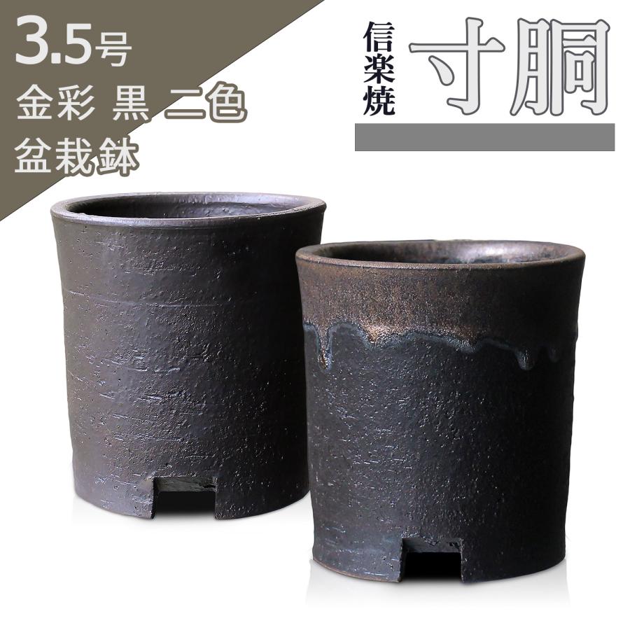 中国 三彩 蓮鷺紋鉢 送料込み0420 中国 三彩 蓮鷺紋