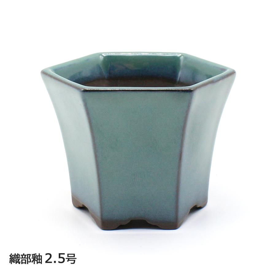 盆栽鉢 2号クラス ミニ 六角反鉢 懸崖 小鉢 瀬戸焼 2.5号 深型 陶器 約