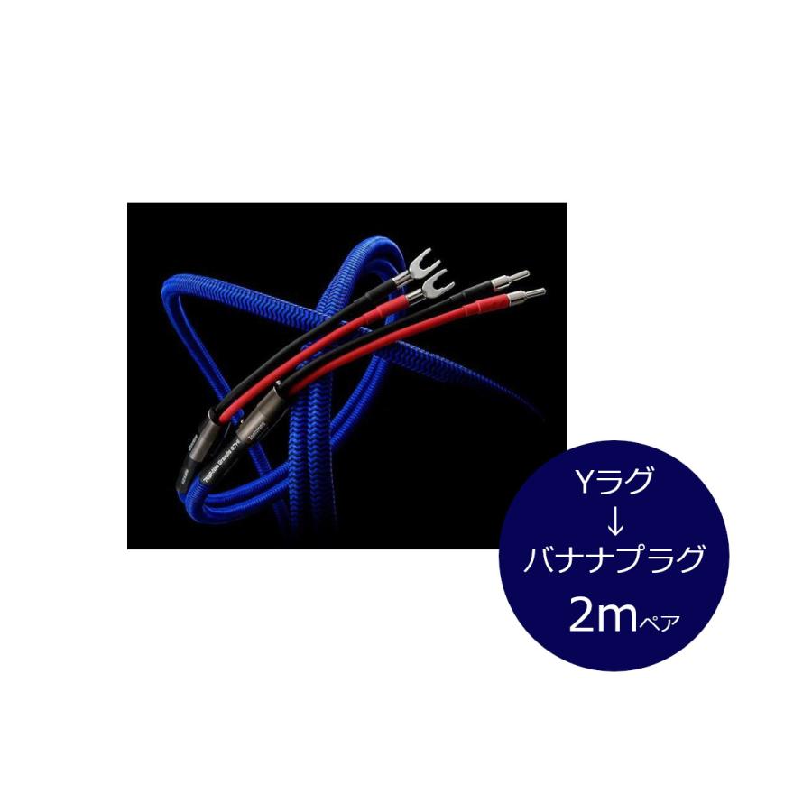 Zonotone 7NSP-Neo Grandio 07Hi ジャンパーケーブル Zonotone 7NSP