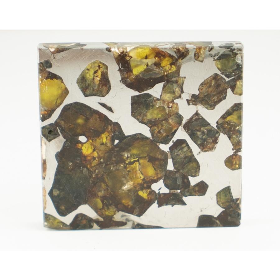 通販限定】エスケル隕石（パラサイト）石鉄隕石 Esquel 48.7g : 宇宙村