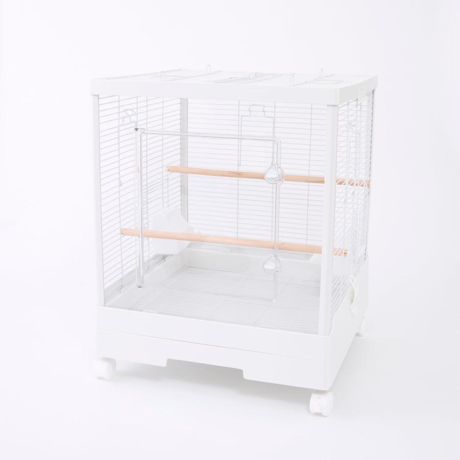 フクロモモンガ アクリルケージ クリアフロント 590high モモンガ