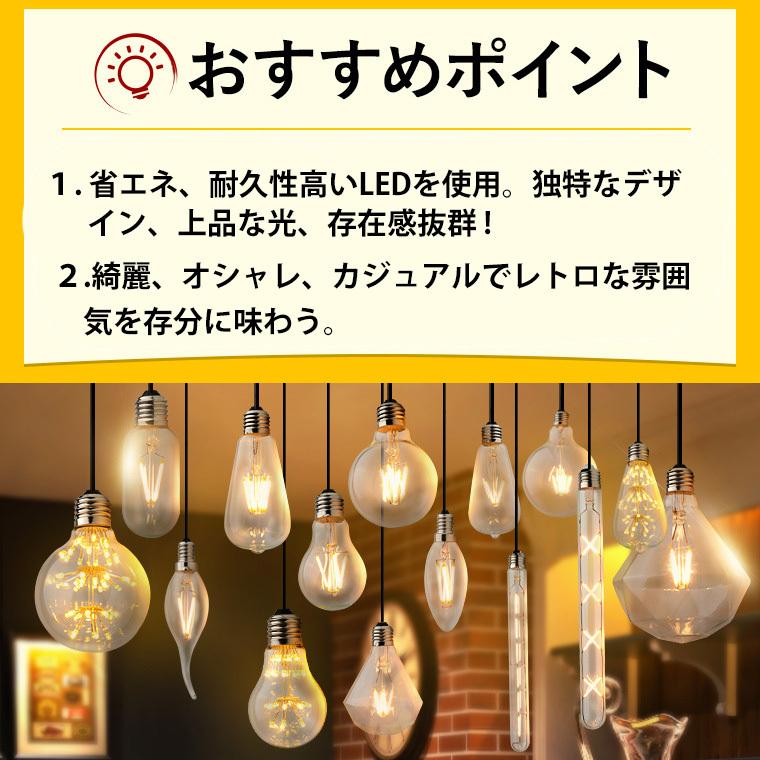 DENKO HOME（電光ホーム） エジソン電球 ST64 エジソンバルブ