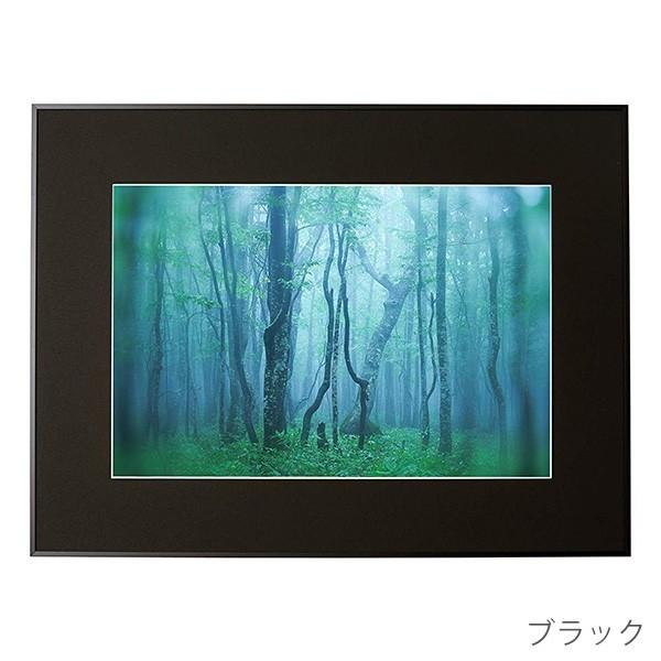 ケンコー・トキナー（KenkoTokina） 受発注商品 アルミ額縁 ギャラリー