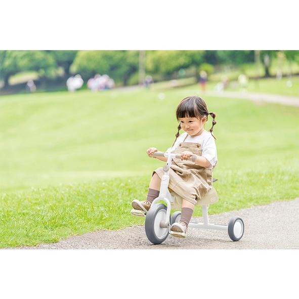 ides（アイデス） ディーバイク ダックス（D-bike dax） : チャイルド