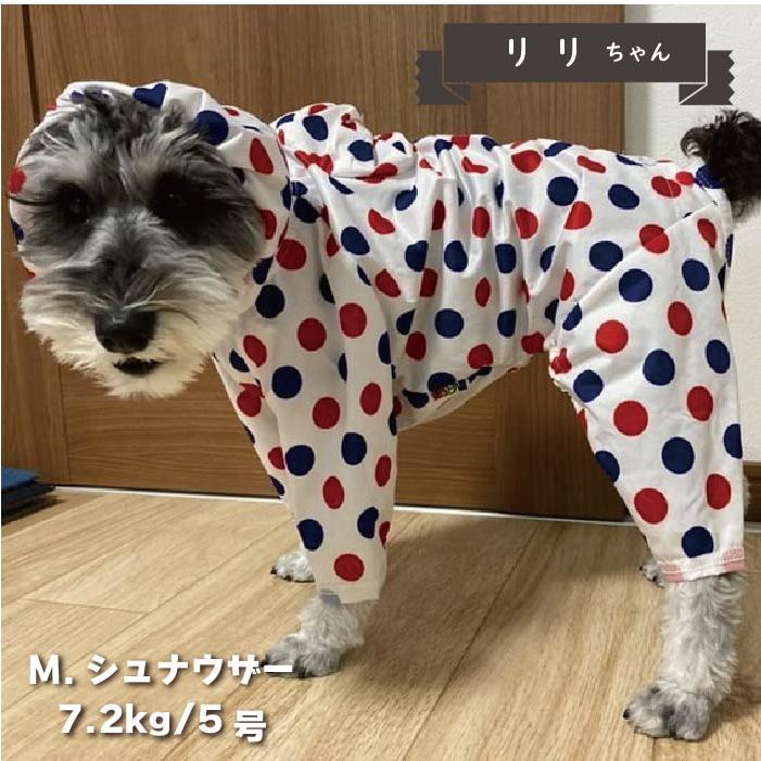 VERY 犬服 ストレッチフルカバー レインコート 4脚 小型犬 ダックス 胴