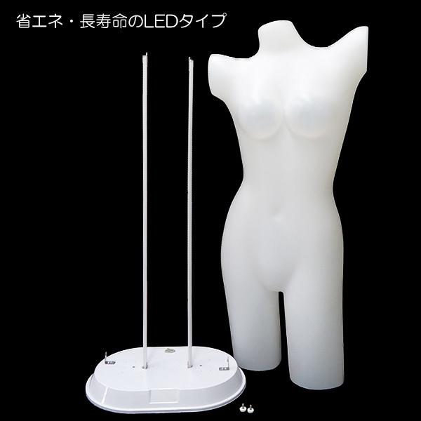 LED 光るマネキン 電飾 トルソー ランジェリー 下着の展示 ラインが