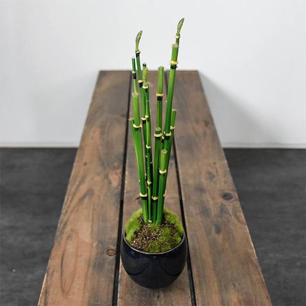 水盆 花器 無名堂 未使用 グリーン系色 水盆 花器 無名堂 未使用