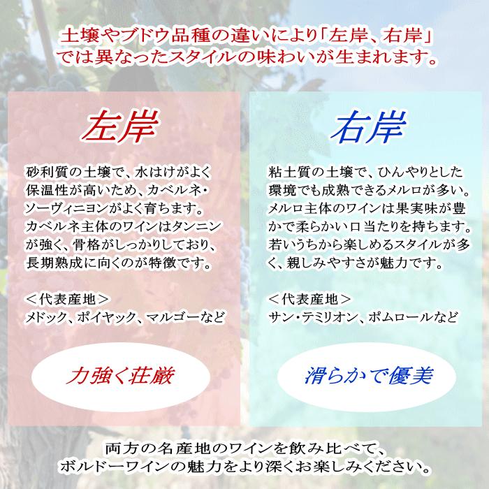 ワインセット 格上産地ボルドー 赤ワイン 左岸 右岸 飲み比べ 6本