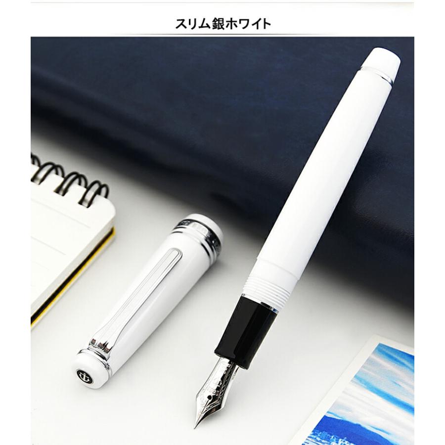 プロフェッショナルギア 名入れ 万年筆 セーラープロフェッショナル