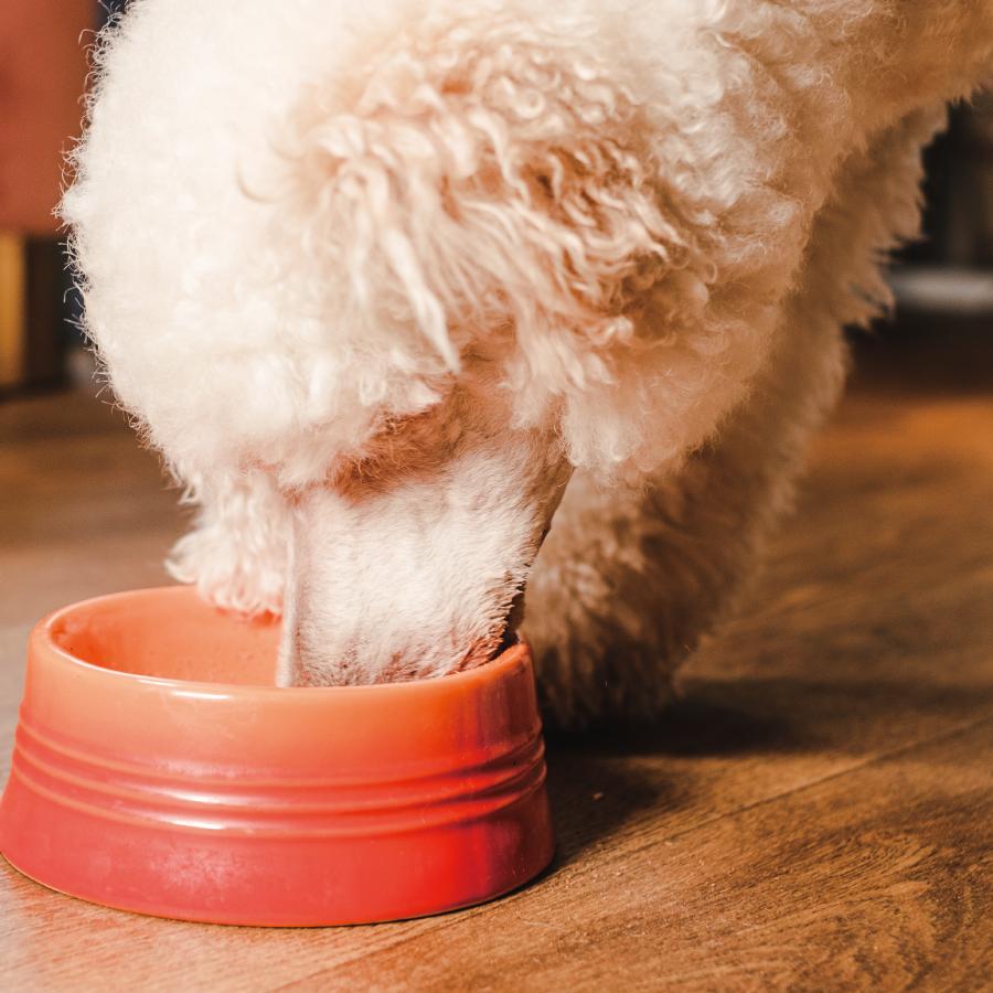 Kia Ora（キアオラ） グラスフェッドビーフ＆サーモン 5kg KiaOra