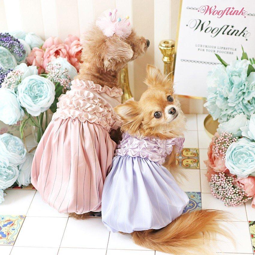Wooflink】ウーフリンク PERFECT DAY DRESS サイズ5 バイオレット 犬用