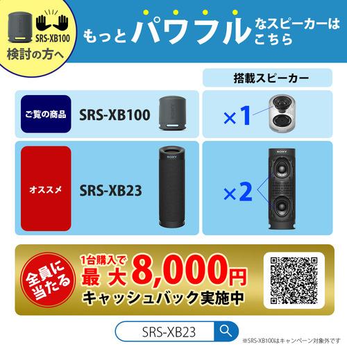 ソニー SRS-XB100 HC ワイヤレスポータブルスピーカー ライトグレー