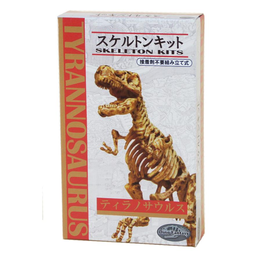 恐竜 スケルトン・キット 【ティラノサウルス】 骨格 インテリア