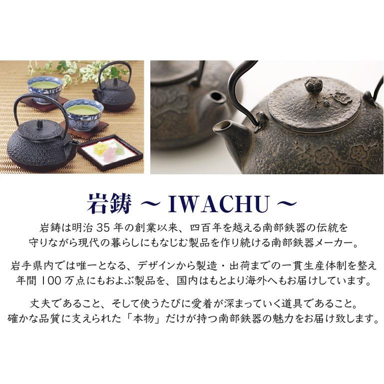 新品、供箱等付属品付南部岩鋳四代目清末作 真作保証18型コシキ亀甲