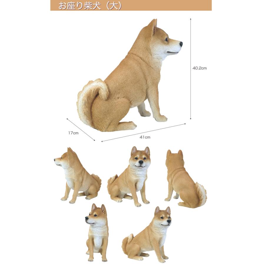お座り 柴犬 （大） 41 x 17 40.2cm (幅x奥x高) 本物そっくり リアル