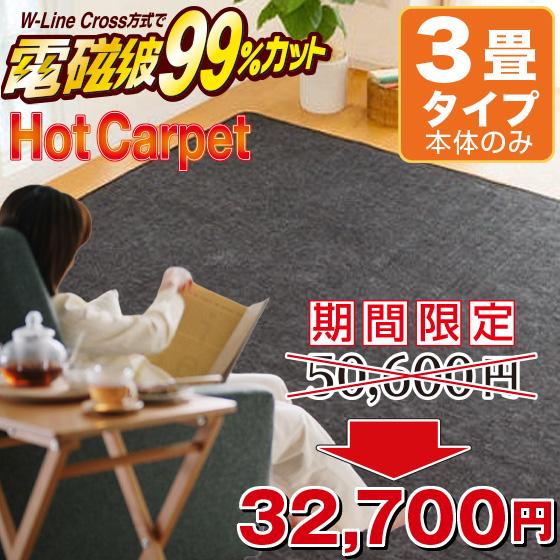 ゼンケン 電磁波カット ホットカーペット 3畳 本体のみ 195×235cm