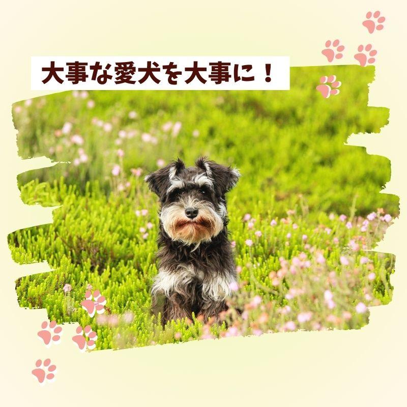 ユリナリーS/O ロイヤルカナン 犬 ユリナリー S/O エイジング7+ 3kg