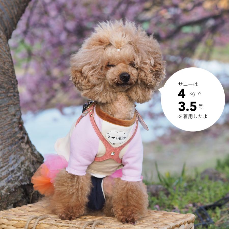 buddybelt（バディベルト）ハーネス 2.5号 プレミアム スワロフスキー