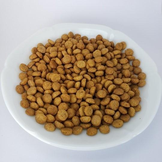 ドッグフード 送料無料 国産 1kg おためし 小粒 小型犬 ZET PREMIUM