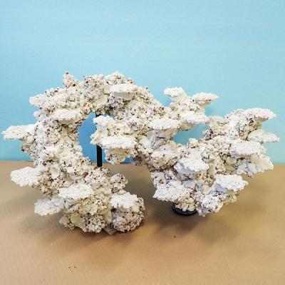 アクアギフト - ライブロック｜Yahoo!ショッピング