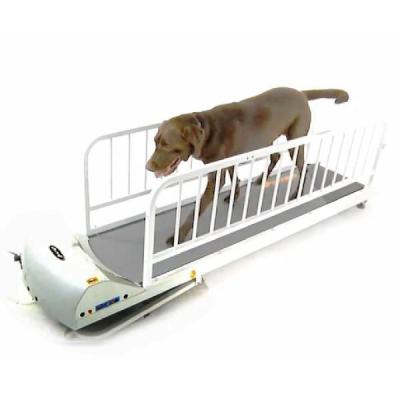 サンセイヤフー店 - 愛犬専用 ルームランナー｜Yahoo!ショッピング