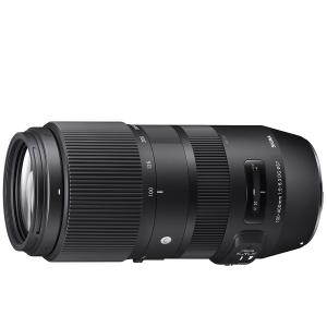 DG（シグマ） シグマ SIGMA APO 50-500mm F4.5-6.3 DG OS HSM 超望遠
