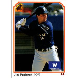 BBM91 207 大洋 パチョレック パチョレック【BBM1991】BBM1991#207