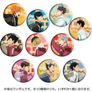 中身はランダム】ハイキュー!!カラパレ 掃除缶バッジ タカラトミー