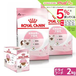 シュプレモ ニュートロ 猫 シュプレモ 成猫用 チキン＆サーモン