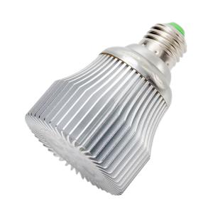 volxjapan（ボルクスジャパン） Grassy LeDio RX072e