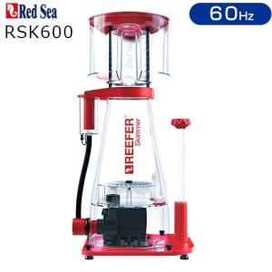 ゼンスイ 取寄せ商品 NYOS QUANTUM 220 60Hz 西日本