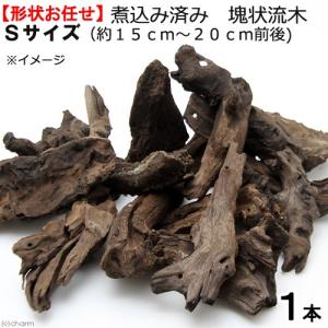 チャーム（charm） 形状お任せ 煮込み済み ハニカムウッド Lサイズ