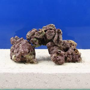 2026年2月】ライブロックのおすすめ人気ランキング - Yahoo!ショッピング