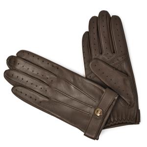 DENTS（デンツ） DENTS【デンツ】手袋/グローブ 15-1043 Navy