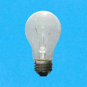 Panasonic（パナソニック） LDS110V54WWK25K ミニクリプトン電球 110V