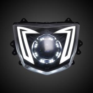 GAMMAS 5型シグナスX CYGNUS X 魚眼ヘッドライト LED 50W 6000K