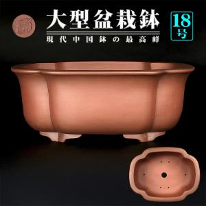 盆栽鉢 紫泥外縁木瓜式鉢 植木鉢 中国鉢 張氏製陶 落款あり 18号 55cm