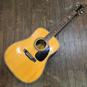 ARIA（アリア） Aria W-200 Acoustic Guitar アコースティックギター