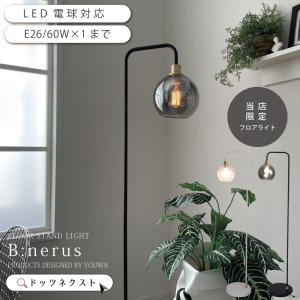 Panasonic（パナソニック） △納期未定[法人限定] NEL4300EN LE9