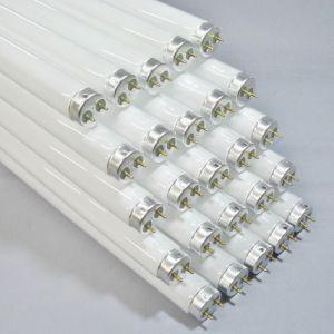 TOSHIBA（東芝） FCL20ENC/18-ZN 3波長形昼白色 サークライン 20形(18W