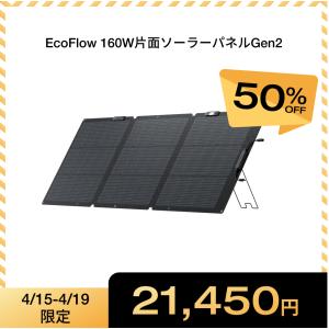 EcoFlow 60W(Type-c) ソーラーパネル ソーラーチャージャー 太陽光
