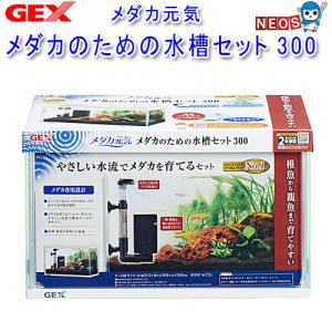 ジェックス メダカ元気 メダカのための水槽セット 300 (1台) 金魚