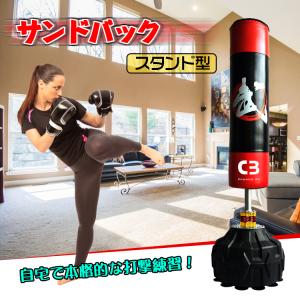 plusnao（プラスナオ） サンドバッグ スタンディングバッグ スタンド型