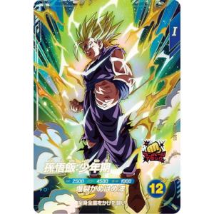 GDR☆ SDV5-008 パラレル 孫悟飯 ドラゴンボールスーパーダイバーズ