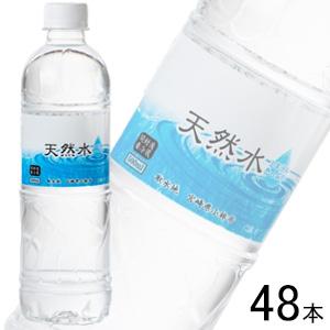 霧島シリカ水源 天然水 軟水 PET 500ml×24本入×2ケース：合計48本 霧島