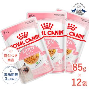 ロイヤルカナン 犬 エイジングケア ウェット パウチ 85g ×24袋 : 良品