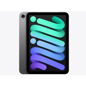 Apple iPad mini 第7世代 Wi-Fi 128GB MXN73JA ブルー【お取り寄せ（3