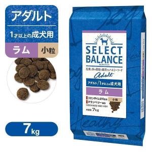 SELECT BALANCE （国産おやつ＆おまけ付き）セレクトバランス パピー