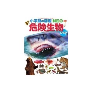 危険生物 DVDつき 小学館の図鑑NEO / 塩見一雄 〔図鑑〕 : HMV&BOOKS